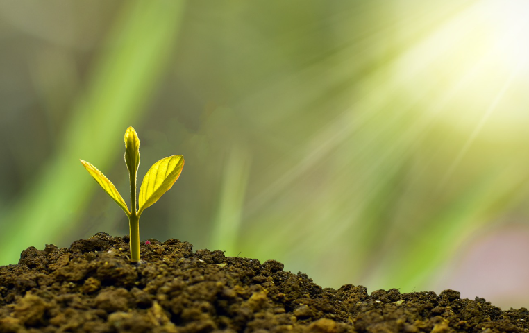 The Future of Personal Finance: 5 Key Predictions