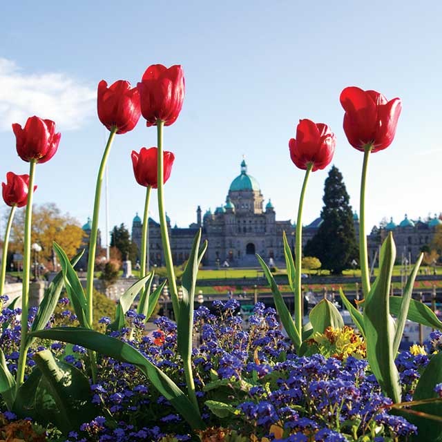 Victoria waterfront and city scenery featured by FRS Clipper