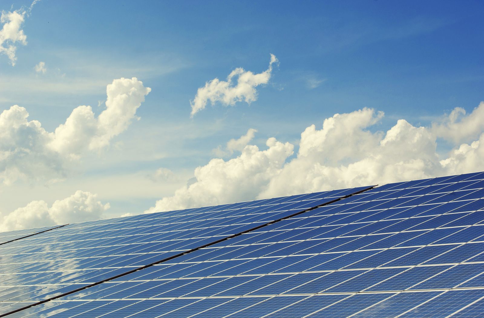 Solar panels beneath a clear blue sky