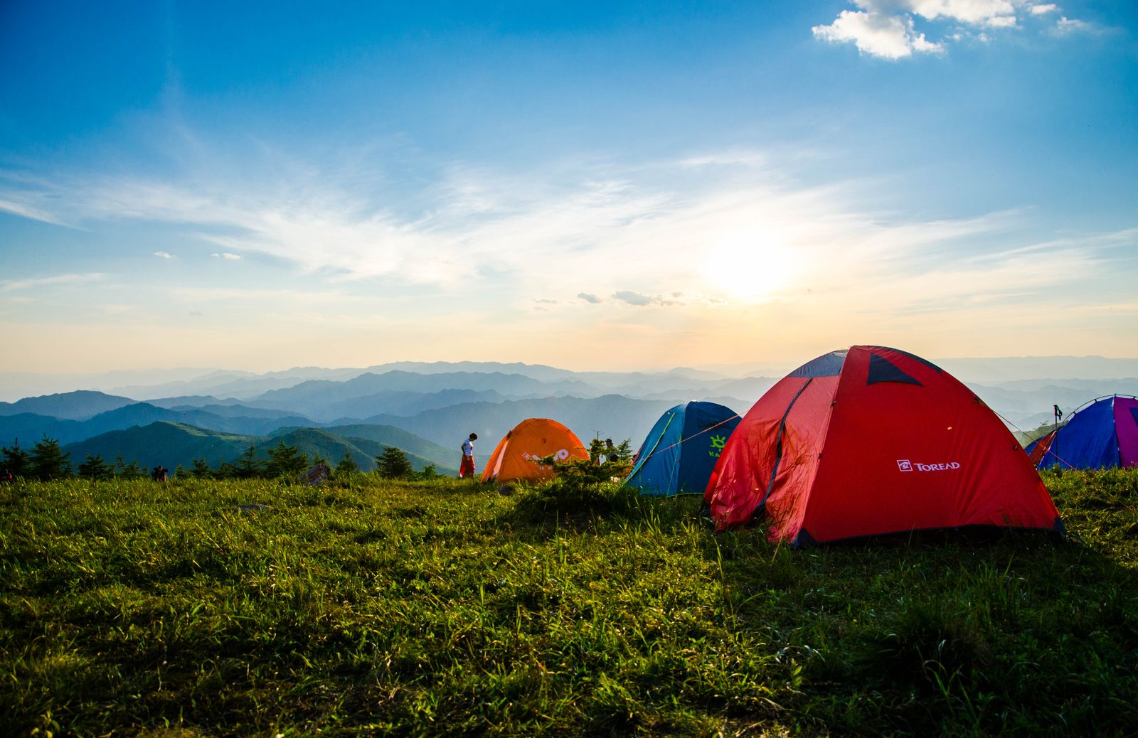 Camping equipment arranged at a wooded campsite